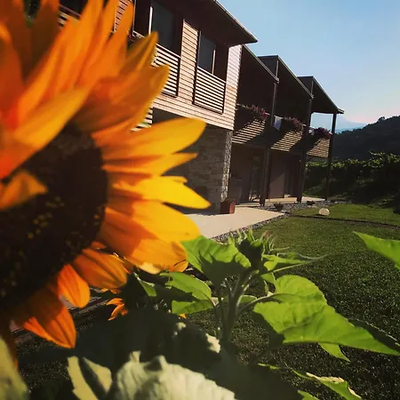 Alloggio per agriturismo Agritur Verderame Trento