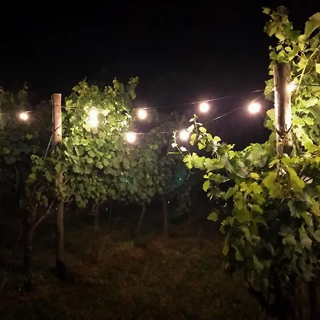Agroturismo Agritur Verderame *