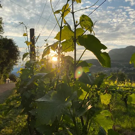 Agritur Verderame Alloggio per agriturismo *